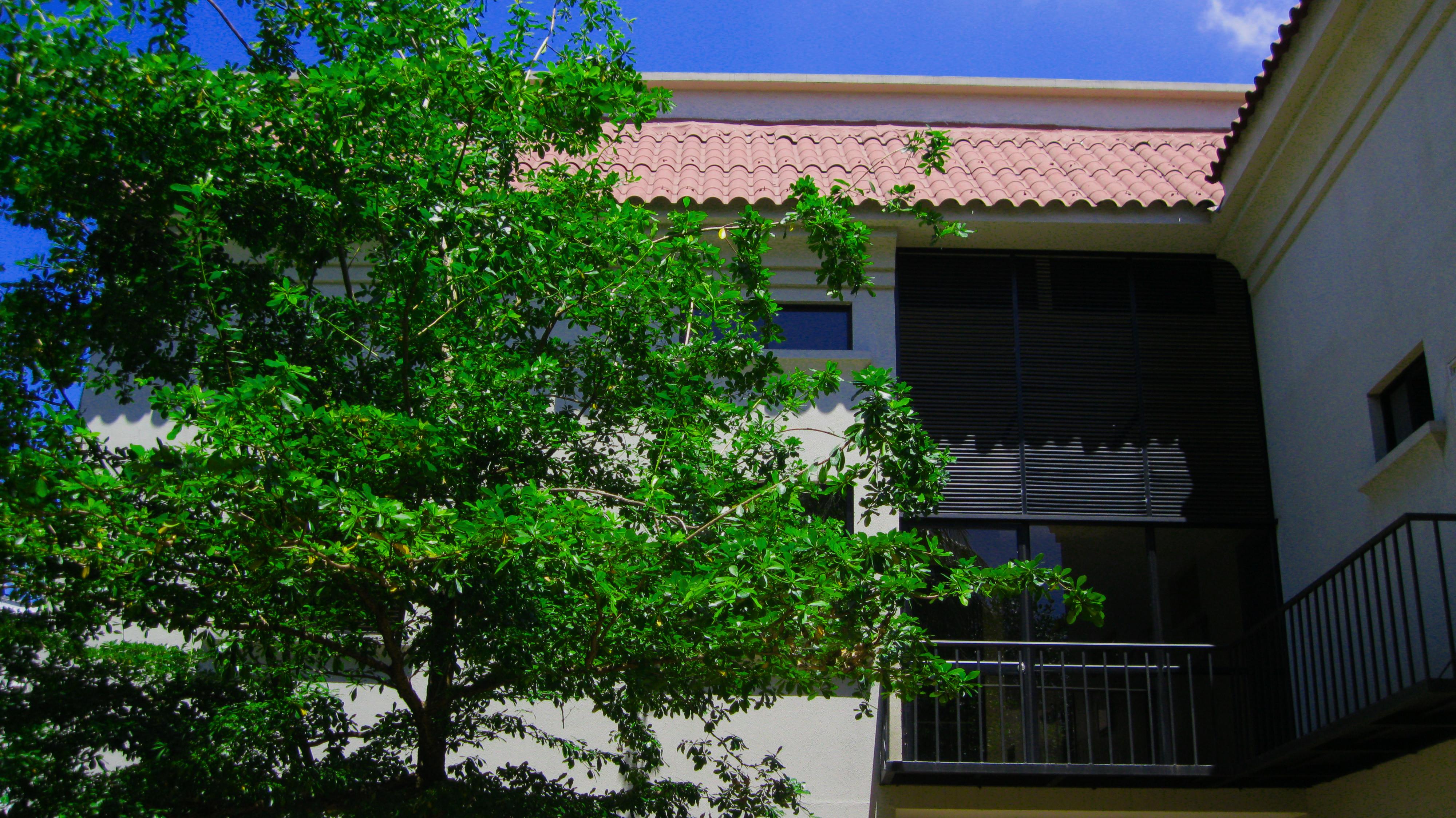 Apartterrazas Guayaquil -Suites&Lofts- エクステリア 写真
